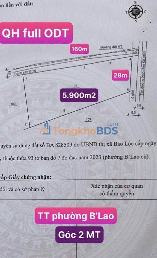 Đất Vàng Bảo Lộc 5900m² Mặt Tiền Kinh Doanh - Sổ Đỏ ODT