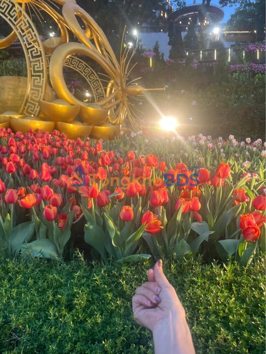 Đất Tặng Nhà Phường Bình Hoà, Châu Thành - 125m² Sổ Hồng Riêng