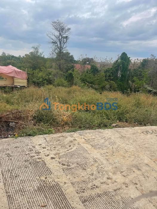 Đất Vàng Buôn Ma Thuột 480m² - Tách 3 Sổ, View Thung Lũng