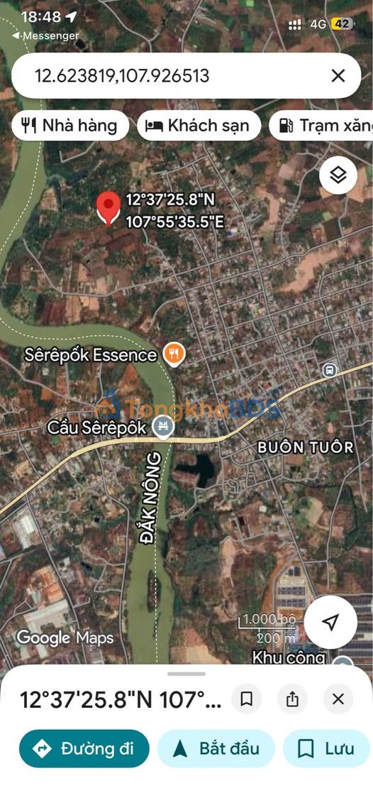 Đất Trồng Điều 18.000m² - Krông Bông, Đắk Lắk - Giá 750 Triệu