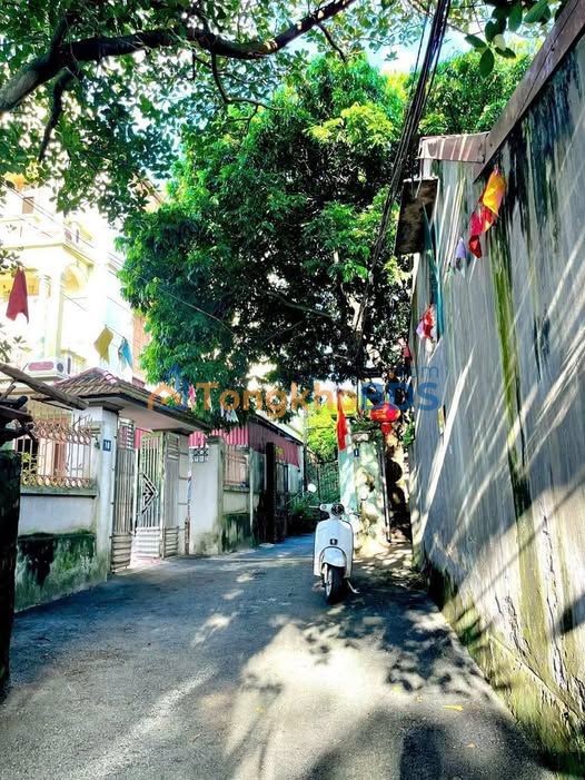 Bán đất 90.6m² Phường Liên Bảo, Vĩnh Yên - Sổ đỏ, Hướng Tây Nam