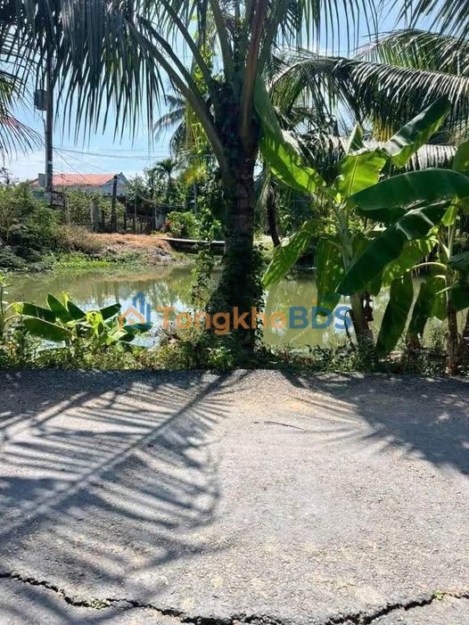 Bán Đất Mặt Tiền Long An 186m² Nở Hậu - Giá 600 Triệu