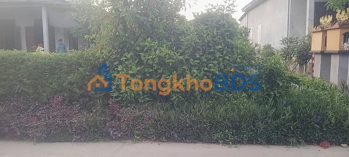 Đất Vàng Thừa Thiên Huế - 350m² Mặt Tiền Đường Tránh Phú Bài, Giá Tốt