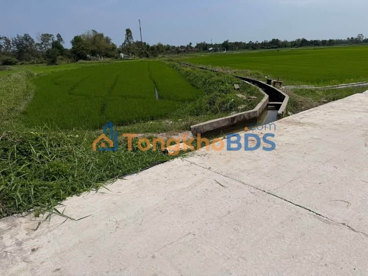 Đất Trồng Cây 500m² Bình Phục, Quảng Nam - 2 Mặt Tiền, Giá F0