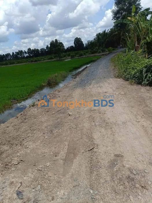 Bán Gấp 14.700m² Đất Cây Lâu Năm Mặt Tiền Kênh - Ấp 3, Bù Đăng, Bình Phước