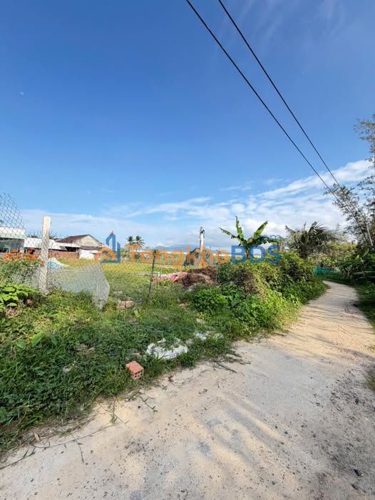 Đất Cát Tân Phù Cát 120m2 giá 2xx triệu - Tiềm năng tăng giá