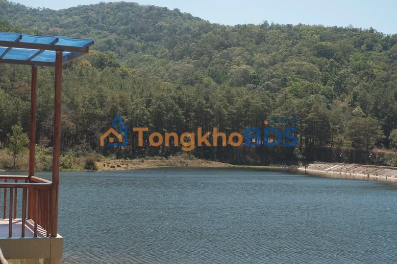 Cho thuê Căn hộ 4PN Phường Võ Cường, Bắc Ninh - Giá 14 Triệu/Tháng