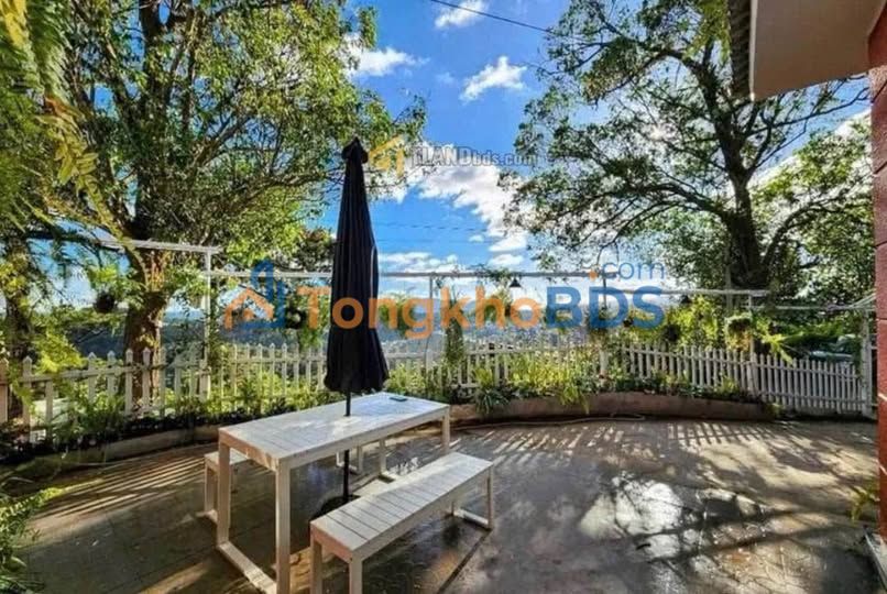 Nhà Trần Quang Diệu P.10 Đà Lạt 100m² 7.5 tỷ - Sẵn sàng ở ngay