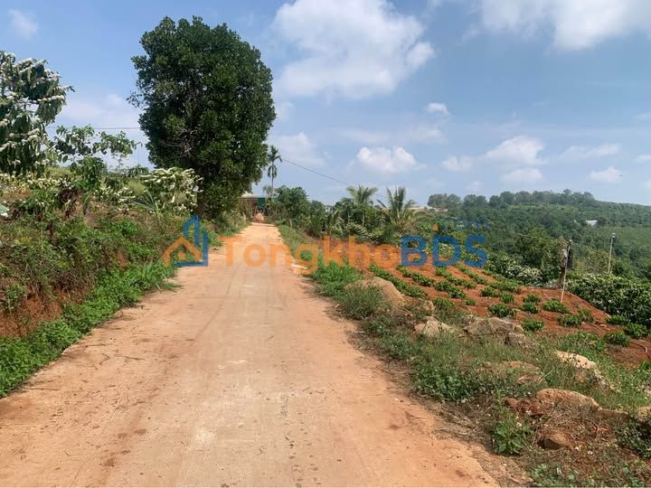 Đất vườn Đan Phượng Lâm Hà 1.1ha 5.6 tỷ - Sinh thái xanh