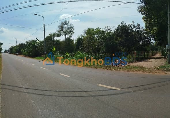 Bán Gấp Mặt Tiền Kinh Doanh Cẩm Mỹ, Đồng Nai - 1003m² Giá Tốt