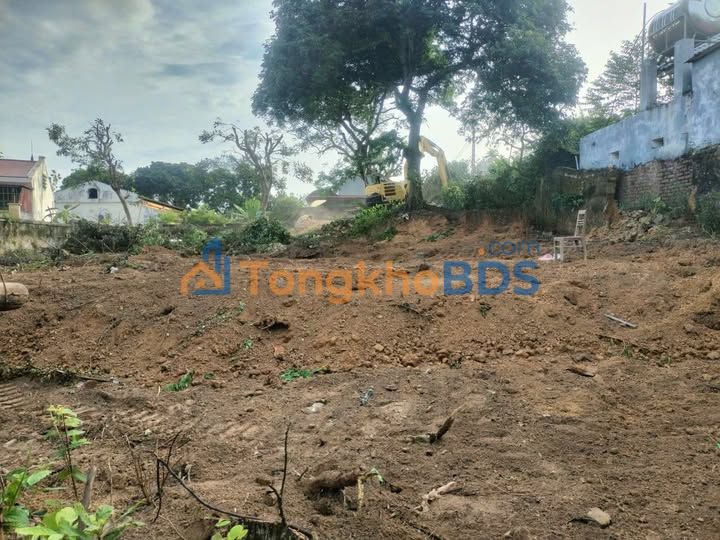 Đất Vườn 1000m² Thái Đào, Lạng Giang - Sổ Đỏ Thổ Cư, Ô Tô Tận Nơi