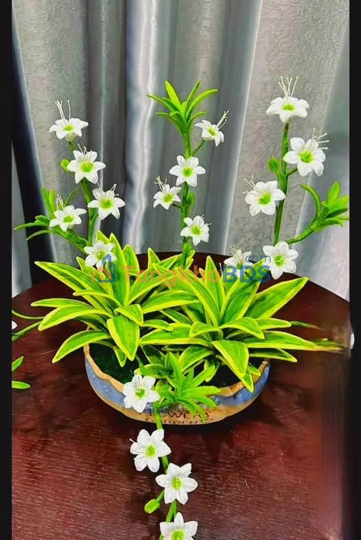 Nhà phố Nguyễn Huệ Tân Xuân 282m2 - Mặt tiền kinh doanh