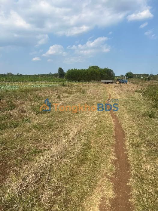 Đất nền Xuân Đông Cẩm Mỹ 360m² 240 triệu - Sổ đỏ chính chủ