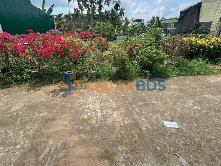 Đất Nền Trung Tâm Quảng Ngãi 71.45m² - Ô tô tới đất