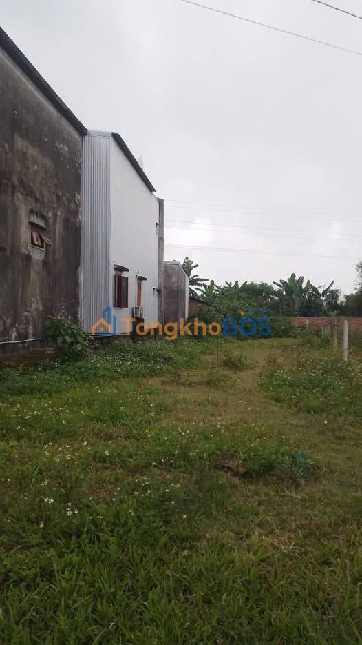 Bán Đất Vườn 341m² Hướng Đông - Gần UBND Xã Đức Hiệp, Mộ Đức