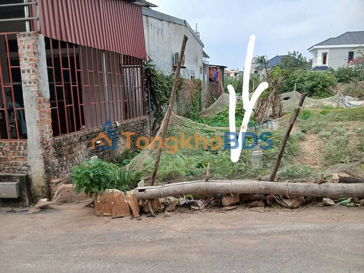 Đất nền Tự Thôn, Bắc Ninh - 67m² Sổ hồng, gần KCN Goertek