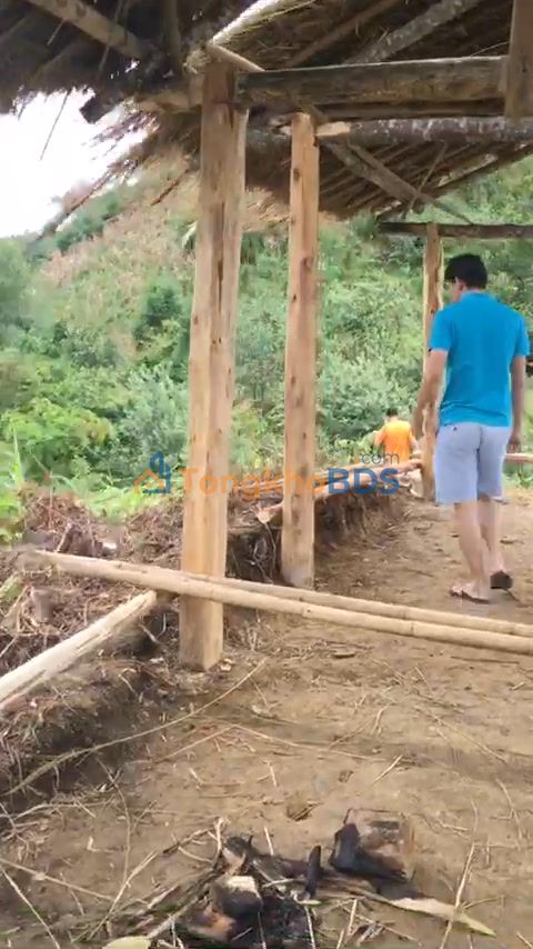 Đất Vườn Lào Cai 2800m² - Đầu Tư Nghỉ Dưỡng View Biển Mây