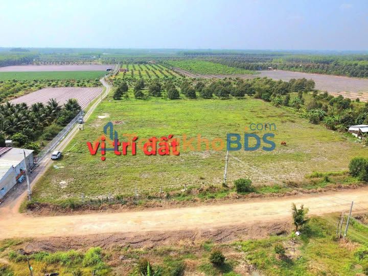 Đất Nền 150m² Sổ Hồng Thổ Cư Gần KCN Phước Đông - Chỉ 290 Triệu