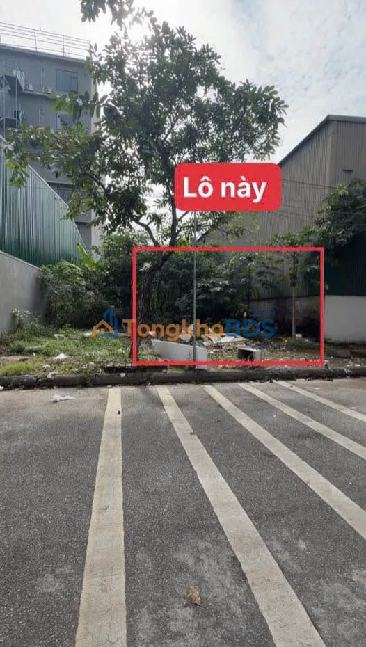 Đất Nền Bắc Từ Sơn 100m² - Gần 5 Tòa Chung Cư, Sổ Hồng Sẵn Sàng