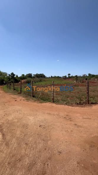 Đất Nền Vân Canh 580m² - Lộc Phát Nở Hậu, Giá Đầu Tư 199 Triệu