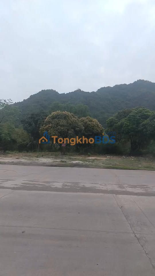 Mặt Bằng Kinh Doanh 1000m² Mặt Tiền Đường Long Sơn, P. Ba Đình, Thanh Hóa