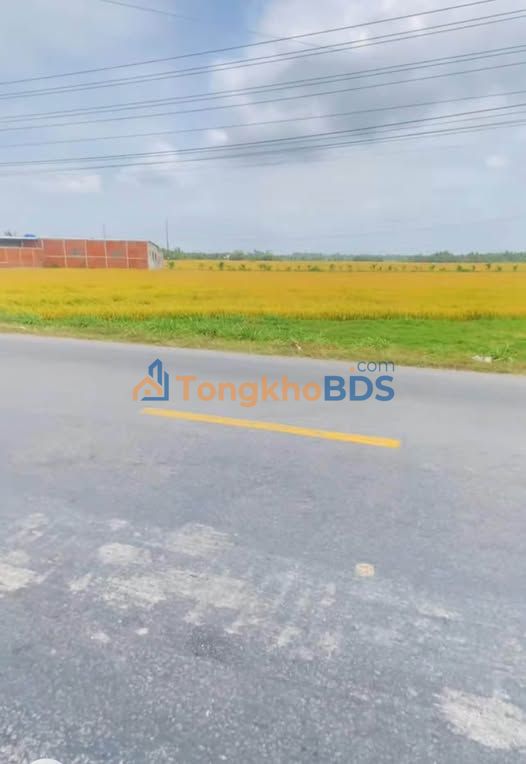 Đất Vĩnh Long 11.000m² Mặt Tiền Quốc Lộ 53 - Giá 28 Tỷ Đầu Tư Vượt Trội