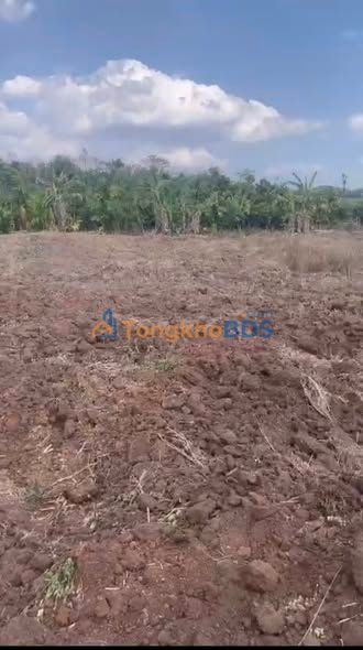 Bán Gấp 1.4Ha Đất Rẫy Đắk Lắk - Giá 14 Tỷ, Đất Sỏi Đen