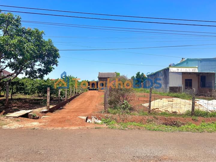 Đất nền mặt tiền Trương Vĩnh Ký, Pleiku - 100m² sổ đỏ, giá tốt