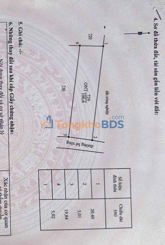 Đất thổ cư 100m² mặt tiền đường bê tông - Bắc Bình, Bình Thuận | Giá 520 triệu