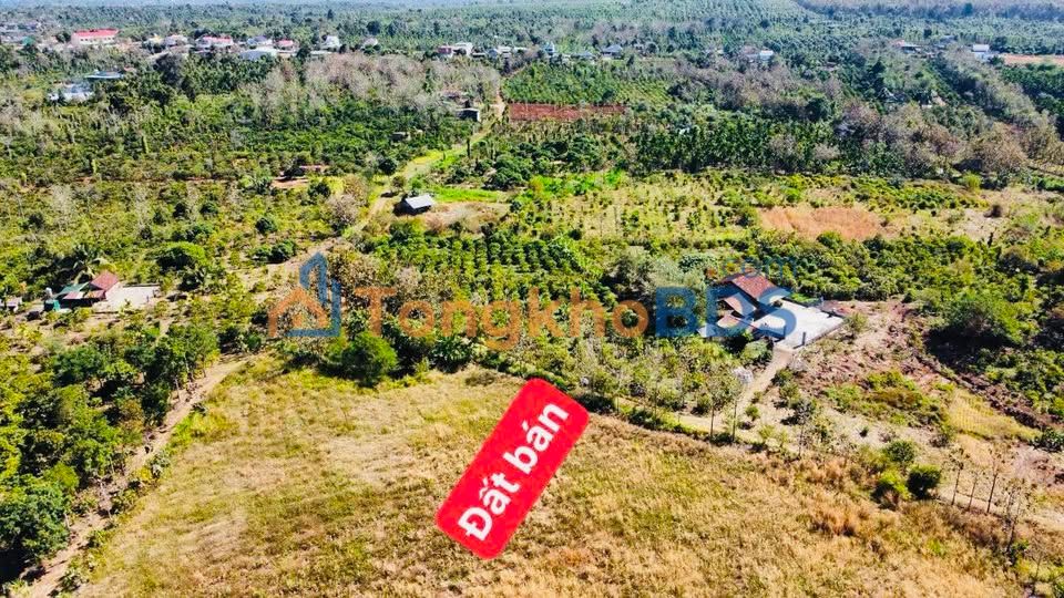 Đất Ea Tul Cư M'gar 521m² 139 triệu - Sổ đỏ sẵn