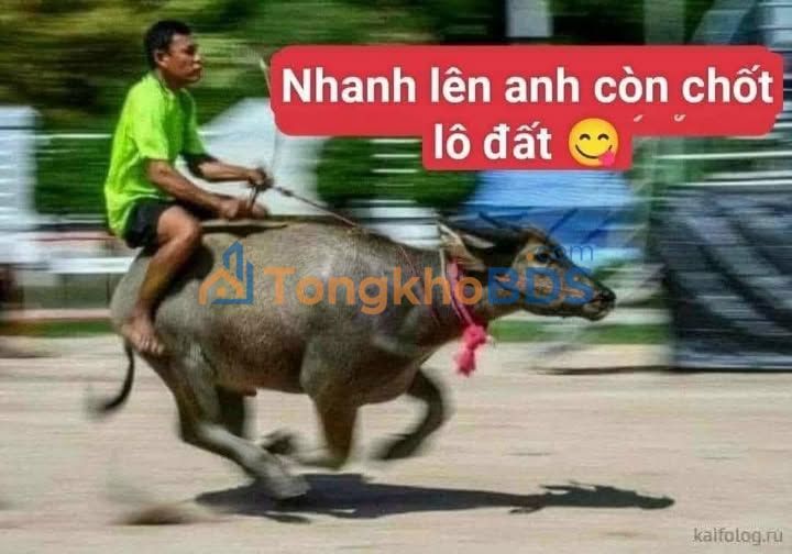 Đất Vĩnh Hoà Vĩnh Bảo HP - 120m² Full Thổ Cư - Giá 7xx Triệu