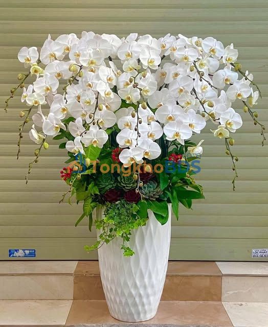 Đất thổ cư 75m² Vĩnh Bảo - Mặt tiền 5.15m nở hậu, gần KCN Tân Liên