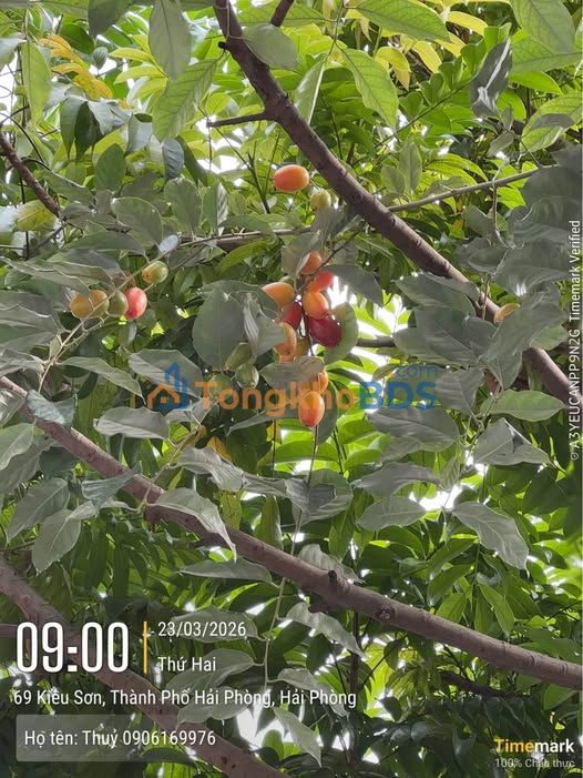 Nhà 3 Tầng Độc Lập, Lê Chân - 90m² Giá 2.x Tỷ