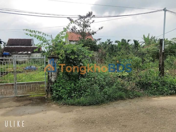 Đất Vườn Tịnh Sơn 144m² (2 Sổ Riêng) Giá Tốt - Sẵn Sổ