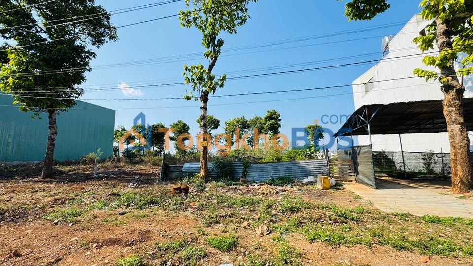 Bán Đất Mặt Tiền CMT8 Chư Pưh 100m² - Sổ Đỏ Riêng, Giá 2.5 Tỷ