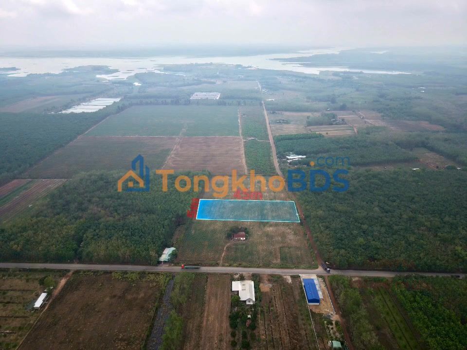 Đất Vườn 2250m² Sổ Hồng Sẵn - View Hồ Dầu Tiếng, Núi Bà Đen