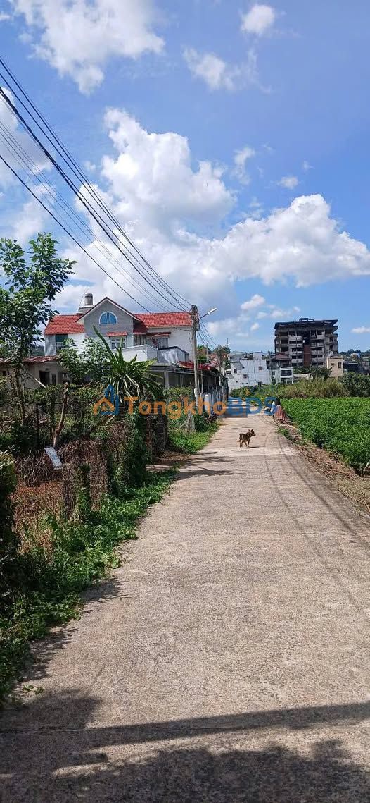 Đất nền Lộc Châu Bảo Lộc 590m² 3.7 tỷ Sổ đỏ chính chủ