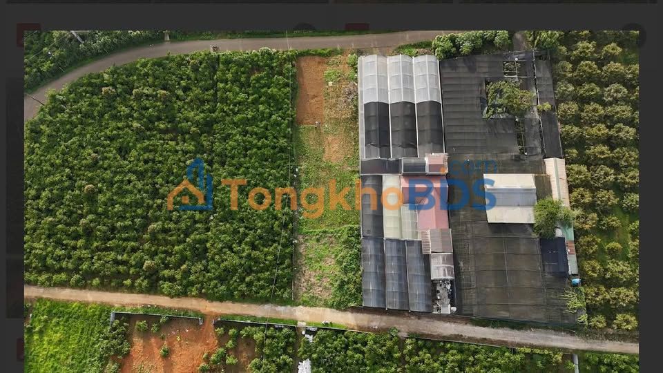 Bán Đất Nền 9x34m Phường B'lao, Bảo Lộc - 1.44 Tỷ, Thổ Cư Sẵn