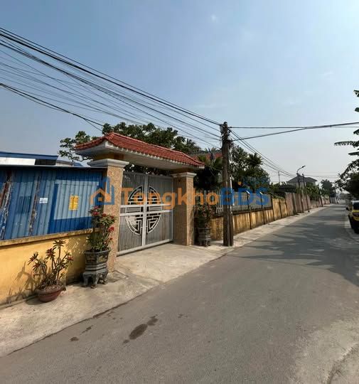 Đất Lô Góc Vĩnh Bảo Hải Phòng 132m² - Kinh Doanh Sầm Uất