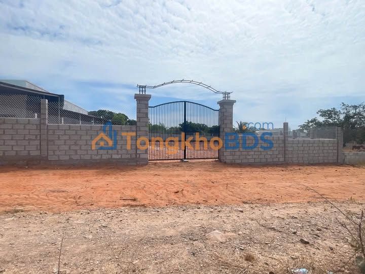 Đất Mặt Tiền 1.000m² Phường Mũi Né - Sổ CLN, Tiềm Năng Đầu Tư Vượt Trội