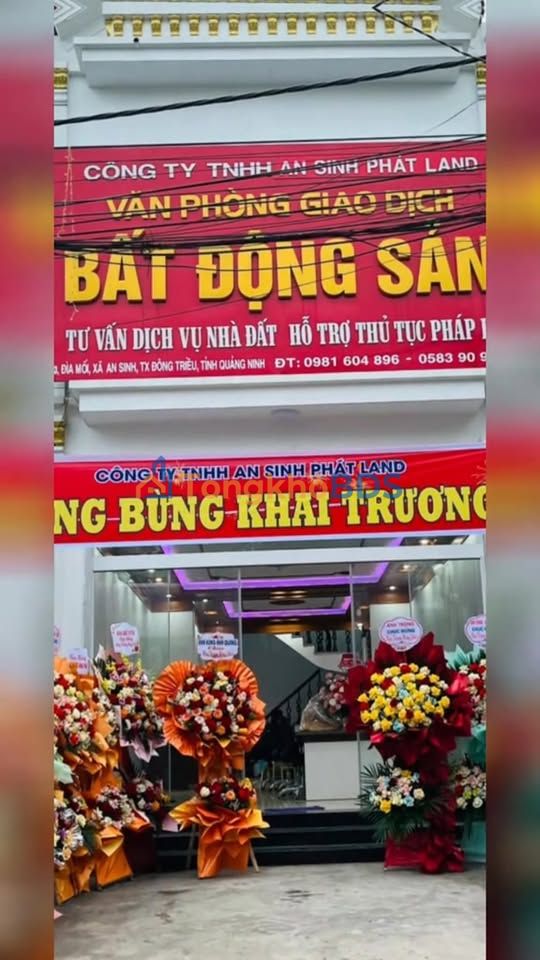 Đất Vàng 650m² Mặt Tiền Rộng Gần Chợ An Sinh - Đông Triều, Quảng Ninh