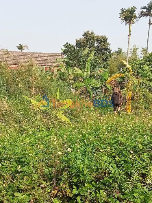 Đất thổ cư Đồng Minh, Vĩnh Bảo 85m² - Giá 7xx triệu, ô tô đỗ tận nơi