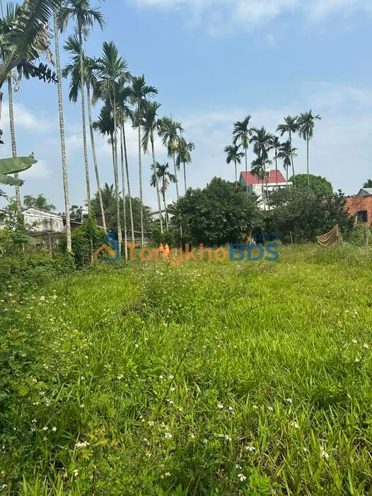 Đất nền Duy Phước Duy Xuyên 130m² giá thỏa thuận - Hạ tầng hoàn thiện