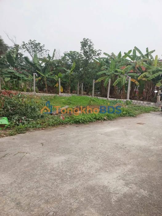 Đất Vĩnh Bảo, Hải Phòng - 82m² Full Thổ Cư, Giá Mềm Chỉ 5xx Triệu