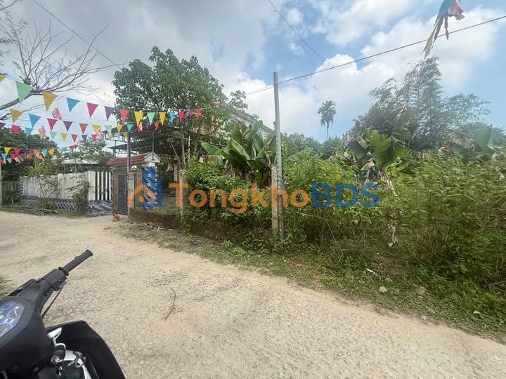 Đất Vườn 117m² Kiệt Lê Huy Lưu, Cẩm Lệ - Giá 1.2 Tỷ, Sổ Đỏ Full Thổ Cư