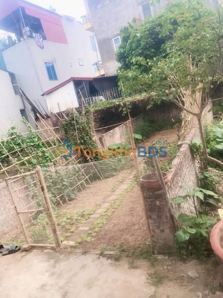 Đất Nền Đặng Xá 41m² - Vuông Vắn, Mặt Tiền Rộng, Sổ Đỏ Sẵn Sàng