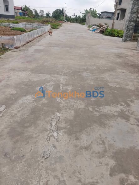 Đất đấu giá Vĩnh Bảo 136m² - Sổ đỏ vuông vắn, ô tô đỗ cửa