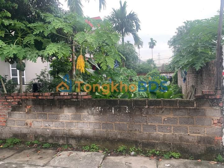 Đất nền Hồng Thái An Dương 400m² 1.9 tỷ - Sổ đỏ chính chủ