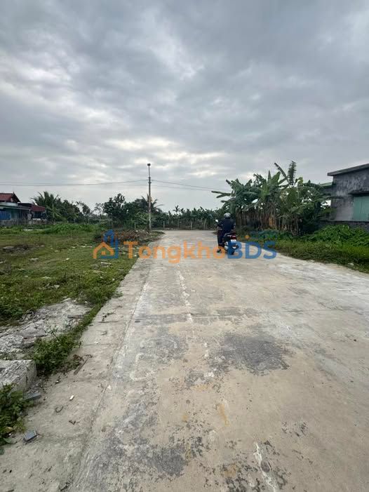 Đất Đấu Giá Tam Đa, Vĩnh Bảo, Hải Phòng - 230m² Full Thổ, Ô tô Tới Đất