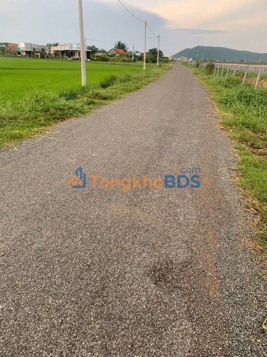 Đất Nền Hàm Thuận Bắc 300m² - Mặt Tiền Nhựa Dân Sinh, Giá Tốt Đầu Tư